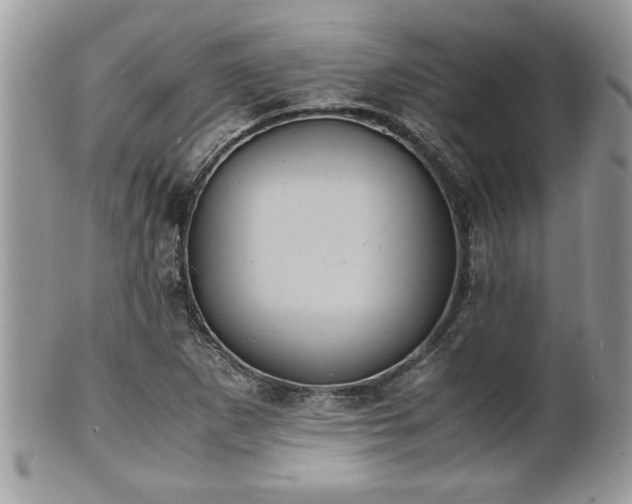 X0000101191265200807071306