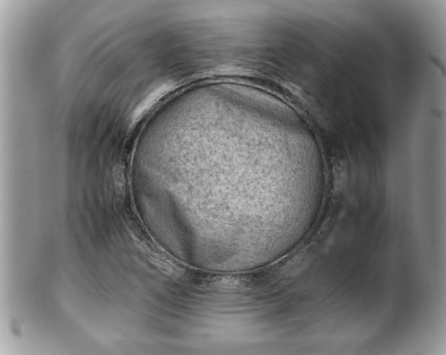 X0000101191266200807071306