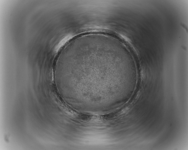 X0000101191267200807071306
