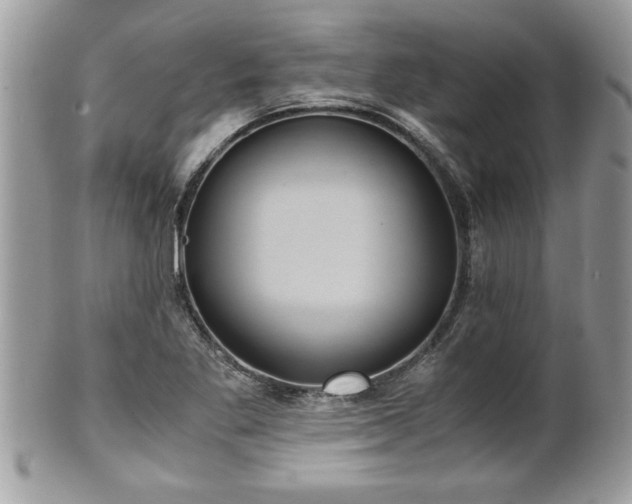 X0000101191269200807071306