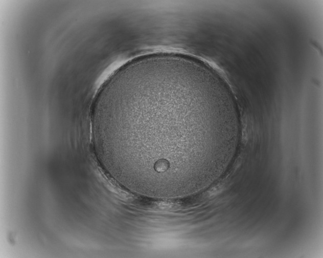 X0000101191271200807071306