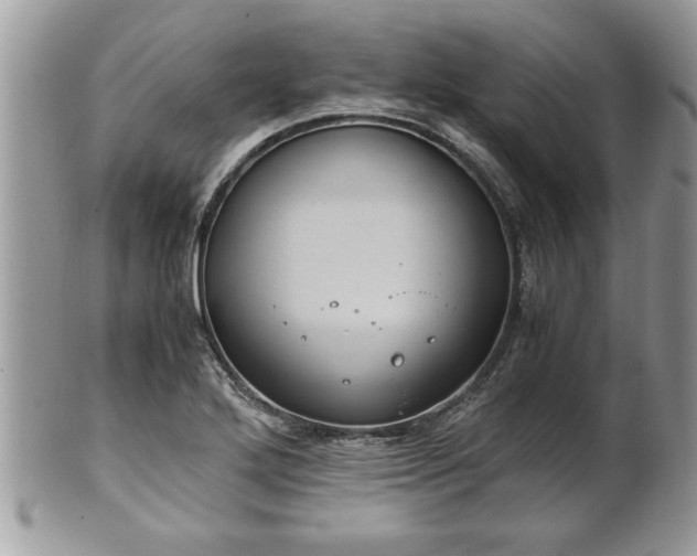 X0000101191272200807071306