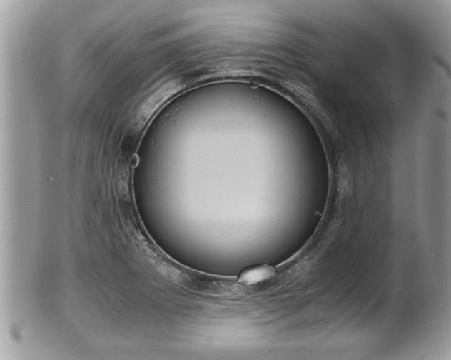 X0000101191273200807071306