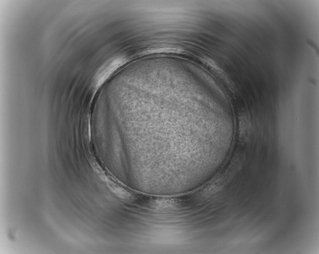 X0000101191274200807071306
