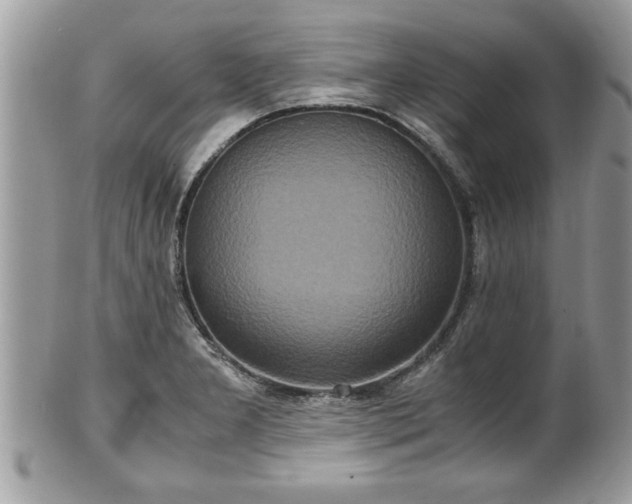 X0000101191277200807071306