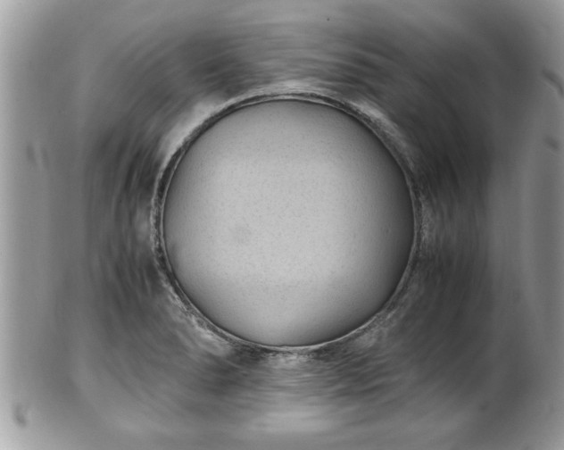 X0000101191278200807071306