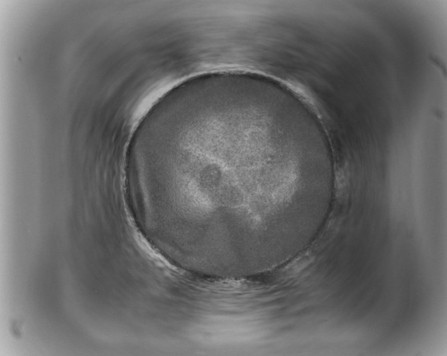 X0000101191279200807071306