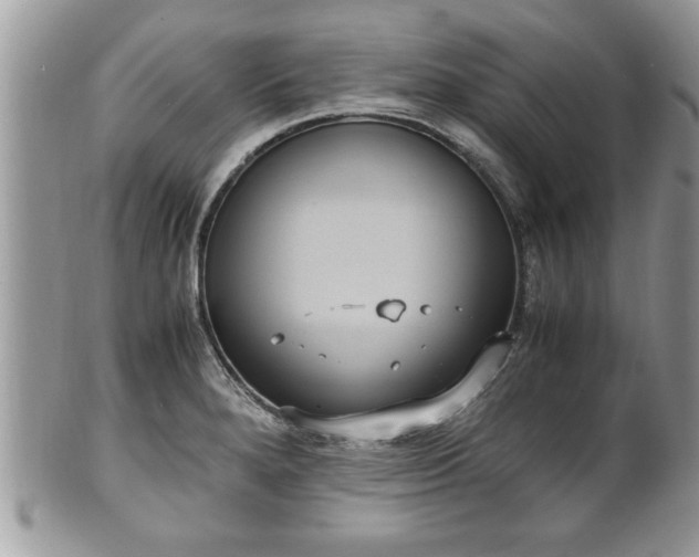 X0000101191280200807071306