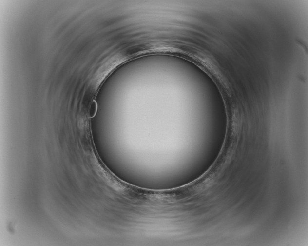 X0000101191281200807071306