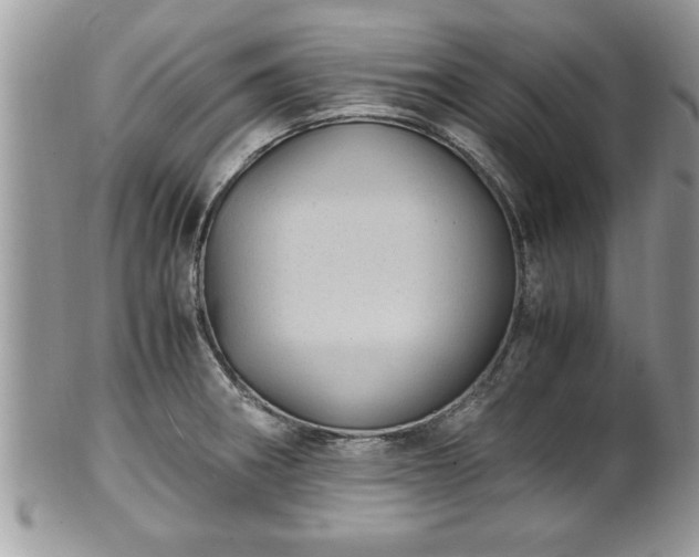 X0000101191282200807071305