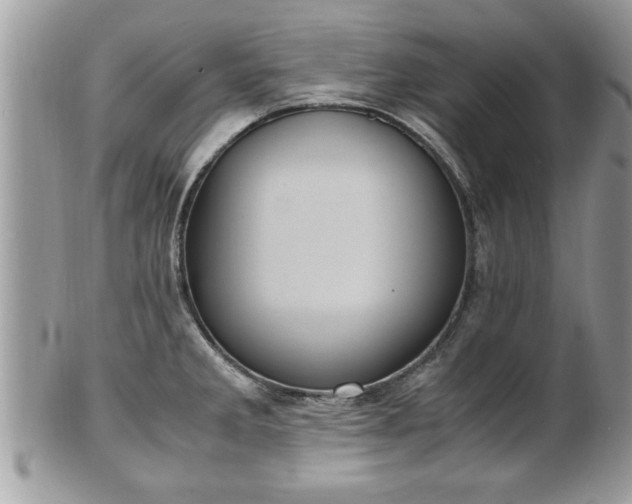 X0000101191285200807071305