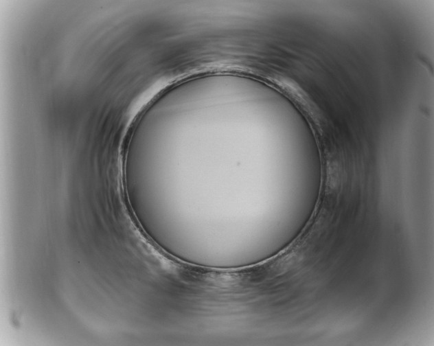 X0000101191286200807071305