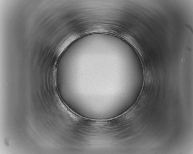 X0000101191290200807071305
