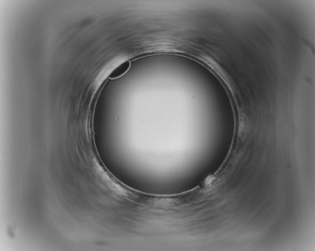 X0000101191293200807071305