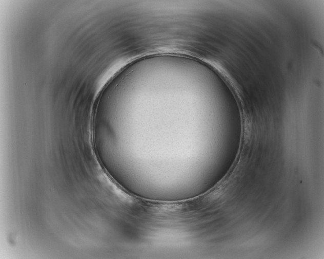 X0000101191294200807071305
