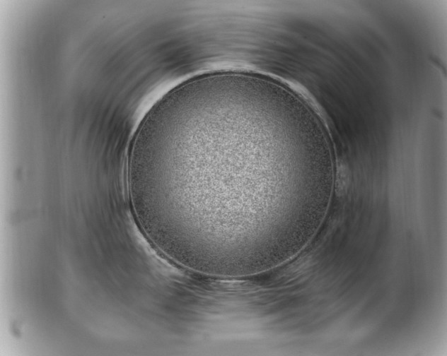 X0000101191295200807071305