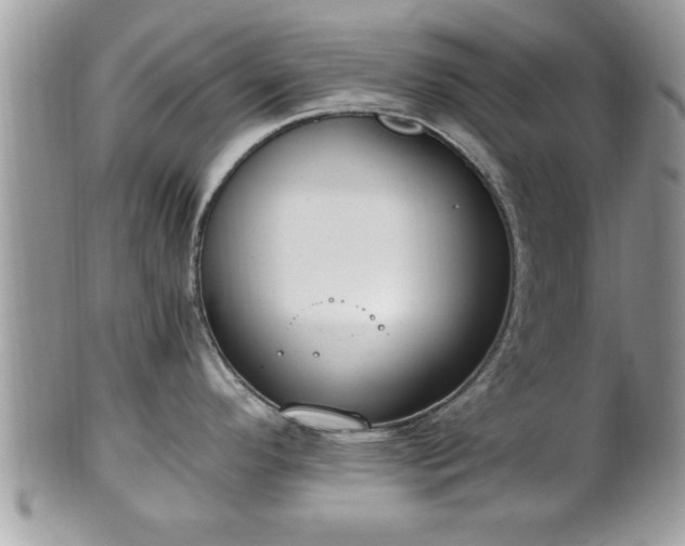 X0000101191296200807071305