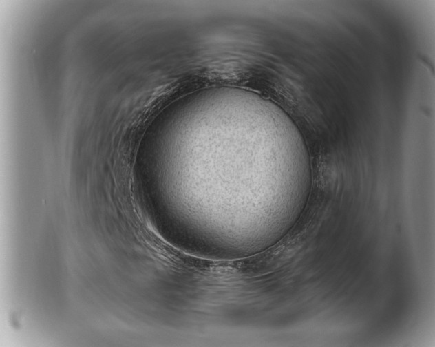 X0000101191297200807071305