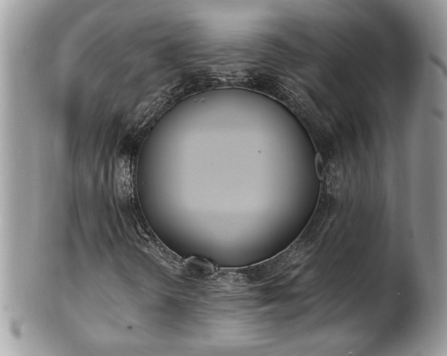 X0000101191298200807071305