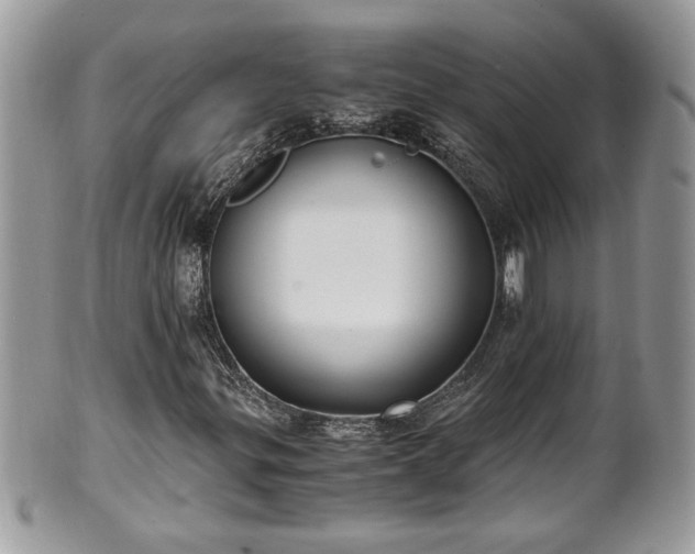 X0000101191299200807071305