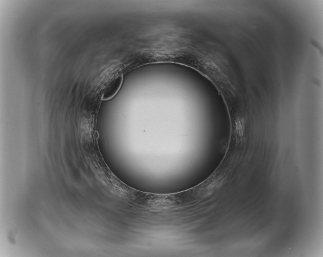 X0000101191300200807071305