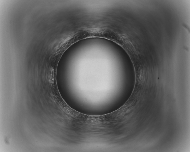 X0000101191301200807071305