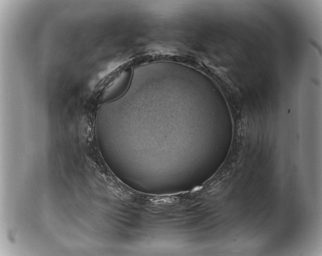 X0000101191303200807071305