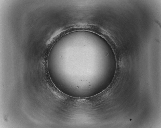 X0000101191304200807071305