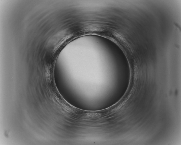 X0000101191305200807071305