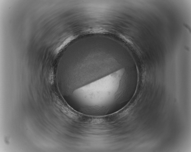 X0000101191306200807071305