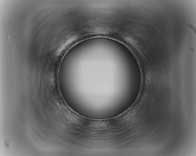 X0000101191307200807071305