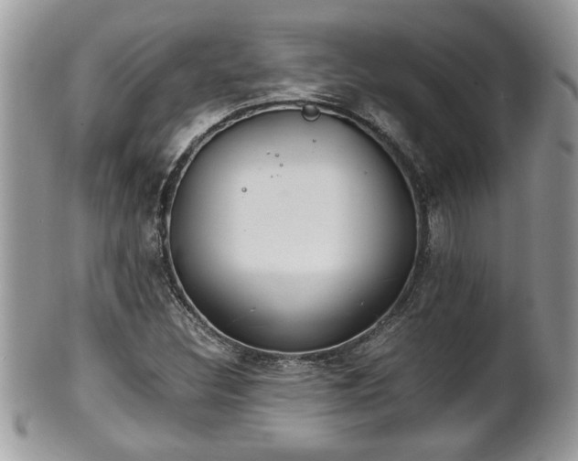 X0000101191308200807071305
