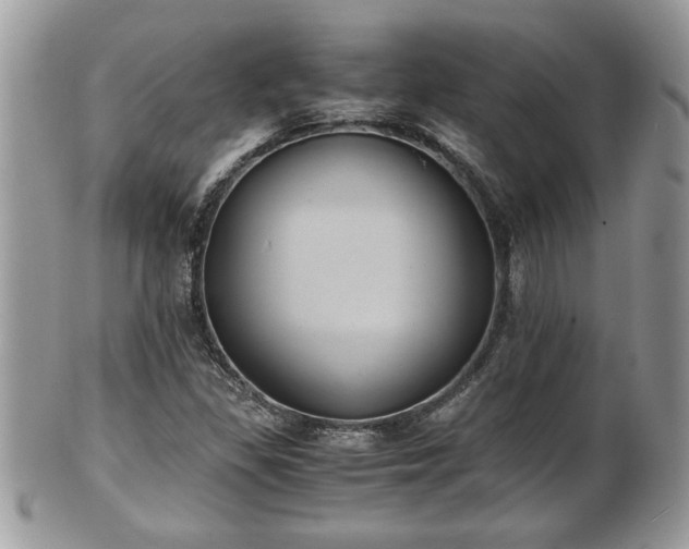 X0000101191309200807071305
