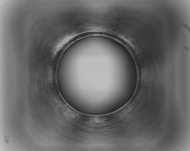 X0000101191311200807071305