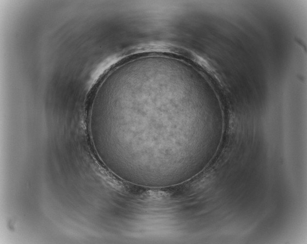 X0000101191312200807071305