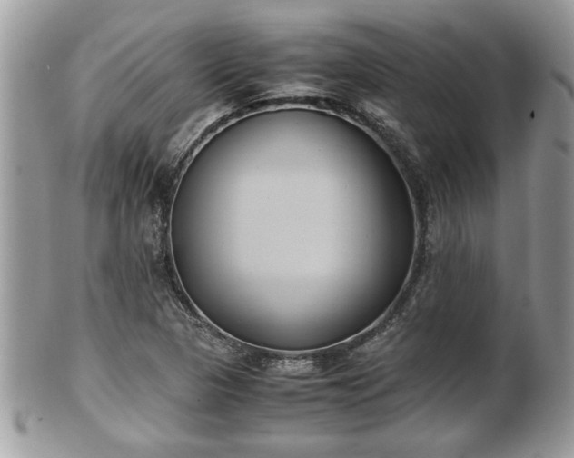 X0000101191313200807071305