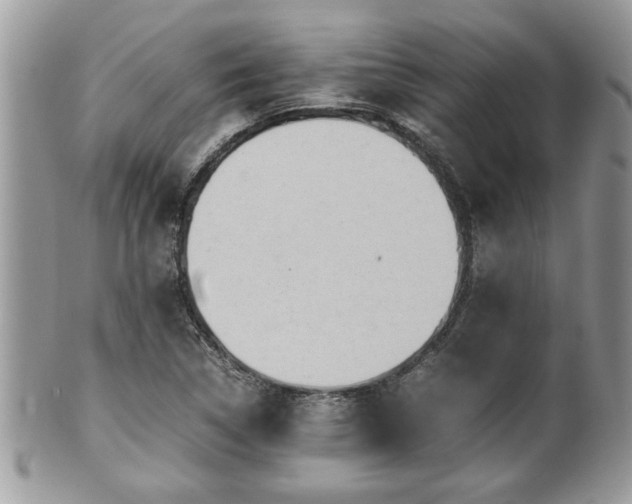 X0000101191314200807071305