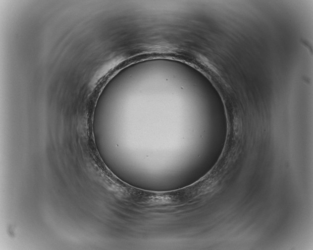 X0000101191315200807071305