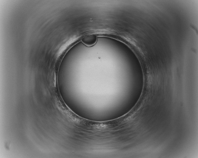 X0000101191317200807071305