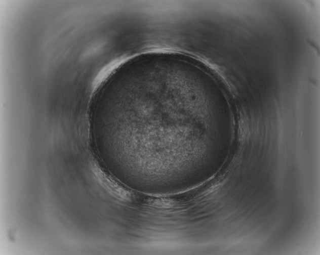 X0000101191319200807071305
