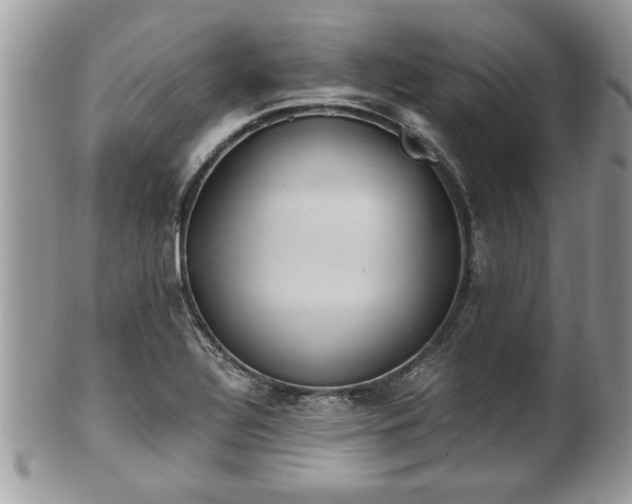 X0000101191320200807071305