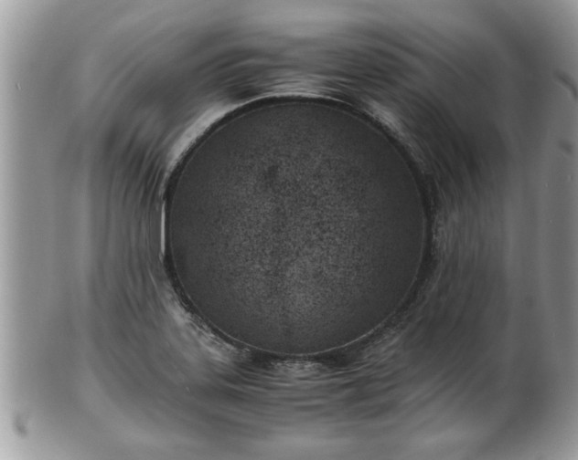 X0000101191323200807071305