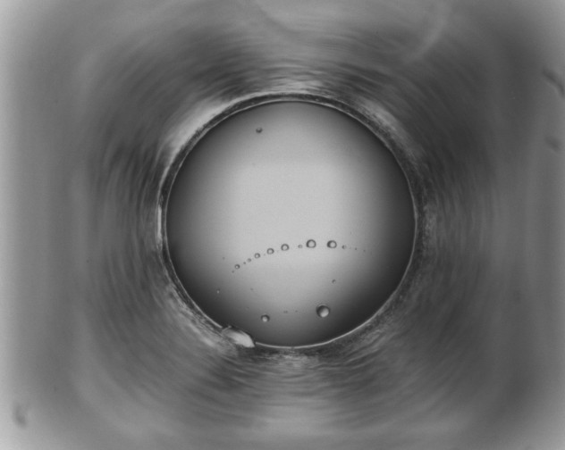 X0000101191324200807071305