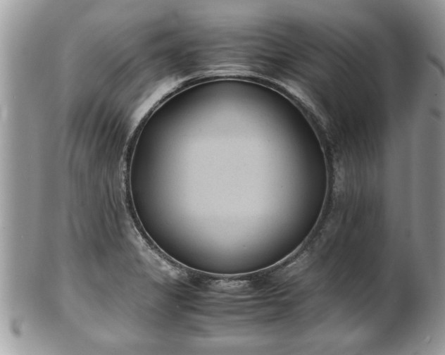 X0000101191325200807071305