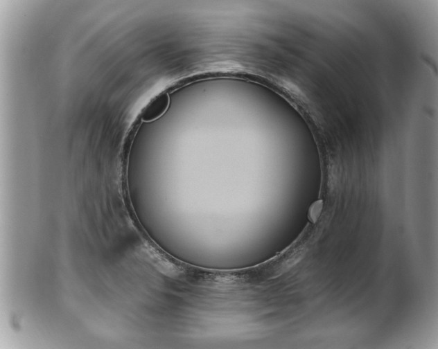 X0000101191326200807071305