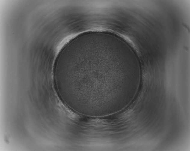 X0000101191327200807071305