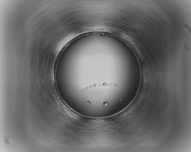 X0000101191328200807071305