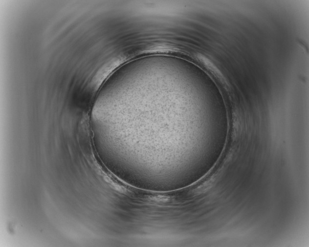 X0000101191329200807071305