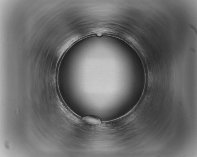 X0000101191330200807071305