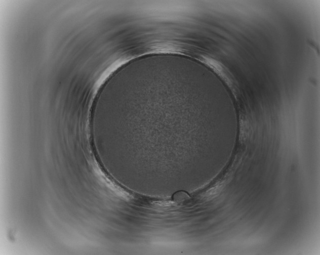 X0000101191331200807071305